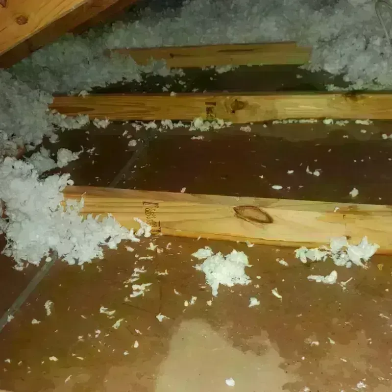 Attic Water Damage in Rockaway Beach, OR